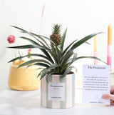 Ananas Rosita Gift "The Passionate" WITH GREETING CARD! - Ø12cm - ↕35cm