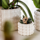 Kolibri Home | Poppy sierpot - White - Ø6cm