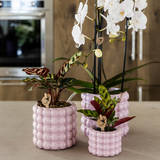 Kolibri Home | Poppy sierpot - Pink - Ø6cm