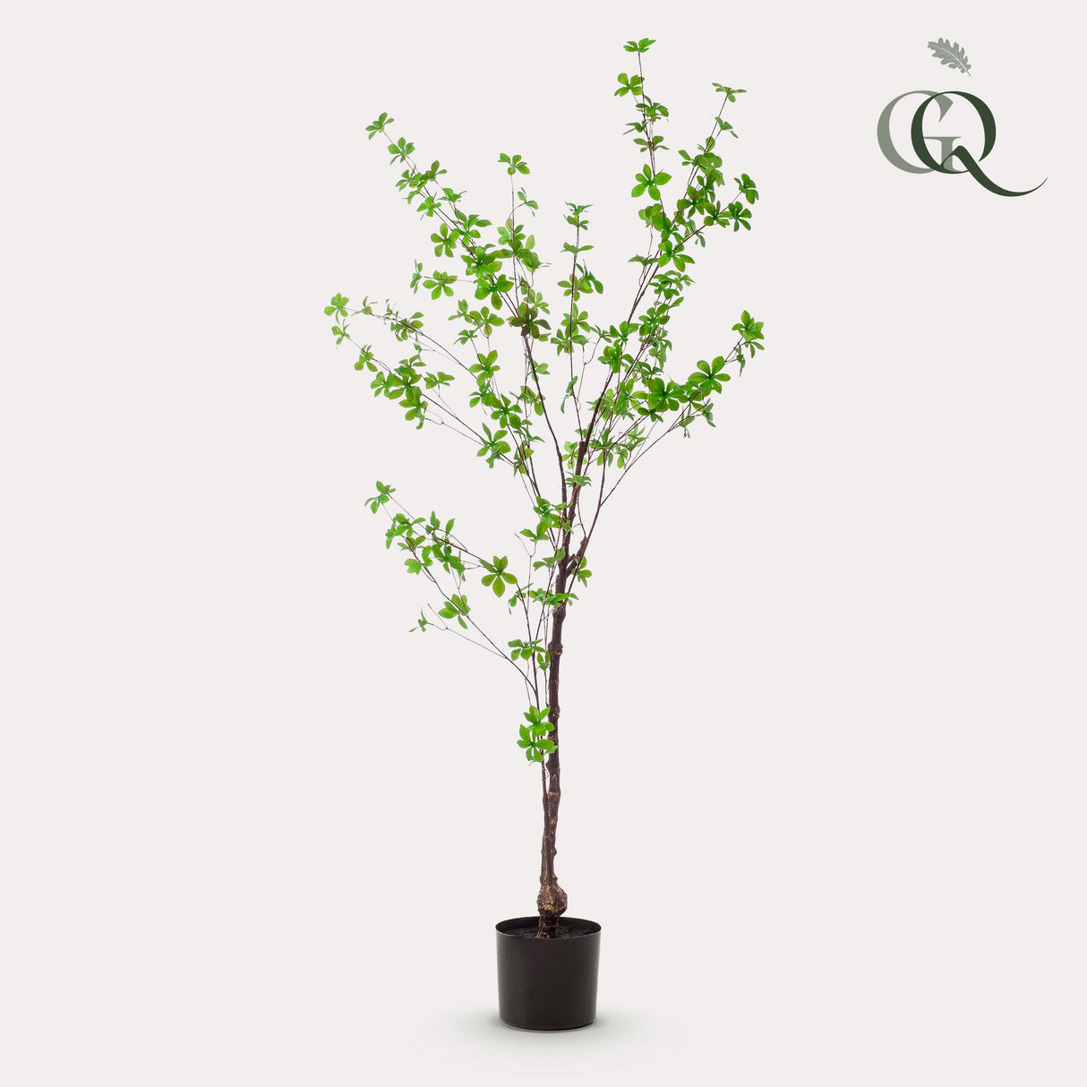 Kunstpflanze - Tropaeolum Speciosum - Kapuzinerkresse - 150 cm