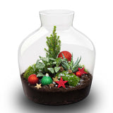 Holly Christmas terrarium - Bottle garden DIY kit - Ø 29 cm ↑ 30