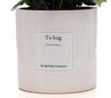 Coffea Arabica Gift "To Hug" WITH GREETING CARD! - Ø12cm - ↕20cm