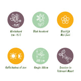 Green boutiQ - Haagplanten - Ilex Blue maid- blad groen - 8 planten - 1 strekkende meter - groenblijvend - pot 9cm hoogte 25-30cm