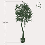Kunstpflanze - Pachira Aquatica - Geldbaum - 180 cm