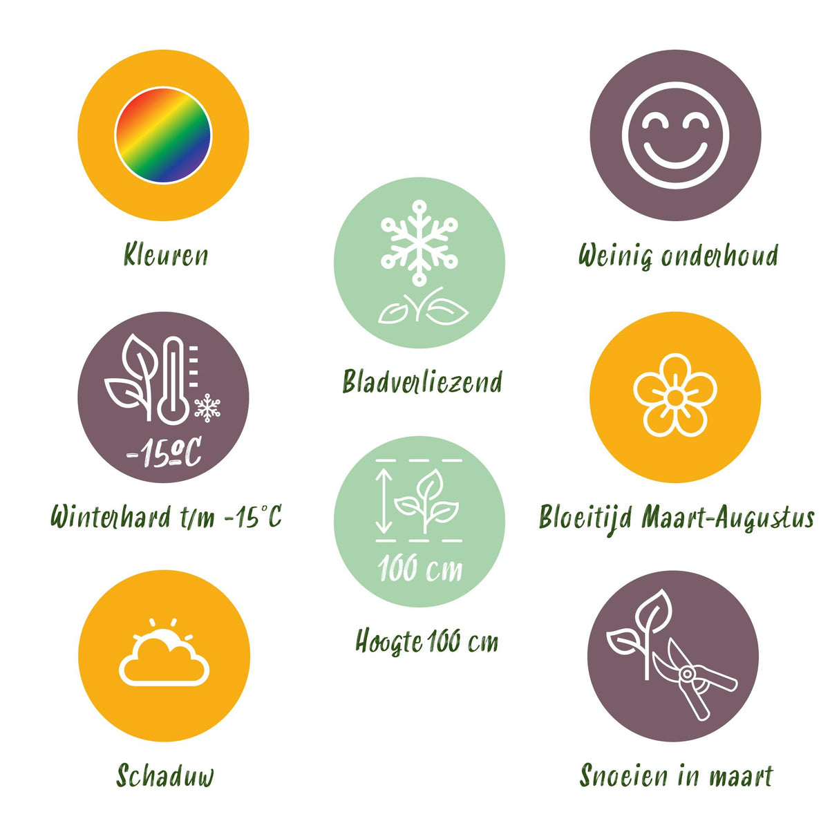 Borderpakket - Schaduw - 8 Vaste planten - 1 m2 - Diversen kleuren - Weinig Onderhoud - Pot 11cm