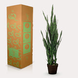 Plante artificielle - Sansevieria black coral - Langue de belle-mère - 97 cm