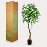 Kunstpflanze - Pachira Aquatica - Geldbaum - 180 cm