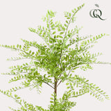 Kunstpflanze - Sophora-Baum - Honigbaum - 140cm