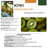 "Zomervruchten" BIO Fruitplanten mix set van 4 verschillende soorten