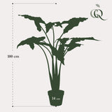 Kunstplant - Alocasia Frydek - Oreille d'éléphant - 120 cm