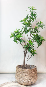 Kunstplant - Dracaena - Drakenboom - 190 cm