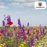 Wildblumensamen-Mischung – 100 Gramm | Gut für Bienen, Schmetterlinge & Biodiversität | ± 30–50 m²