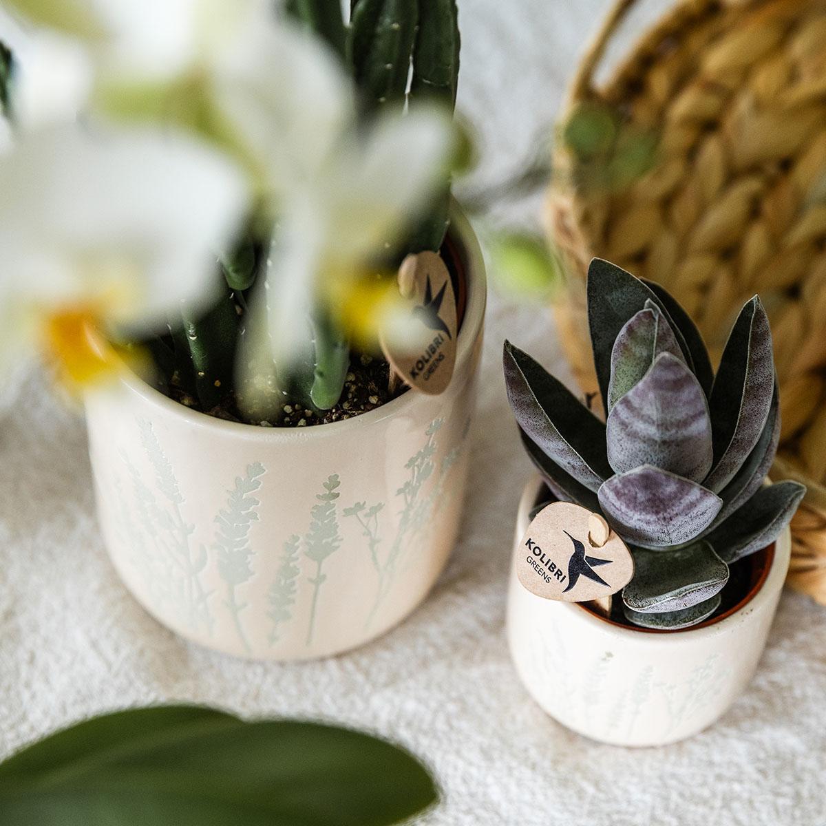 Kolibri Home | Floral bloempot - Light Blue - 6cm