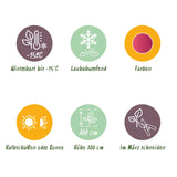 Green boutiQ - Terrasplant - Japanse Esdoorn - Acer palmatum Phoenix - Roze - 2 Planten - Bladverliezend - Pot 19cm Hoogte 70cm