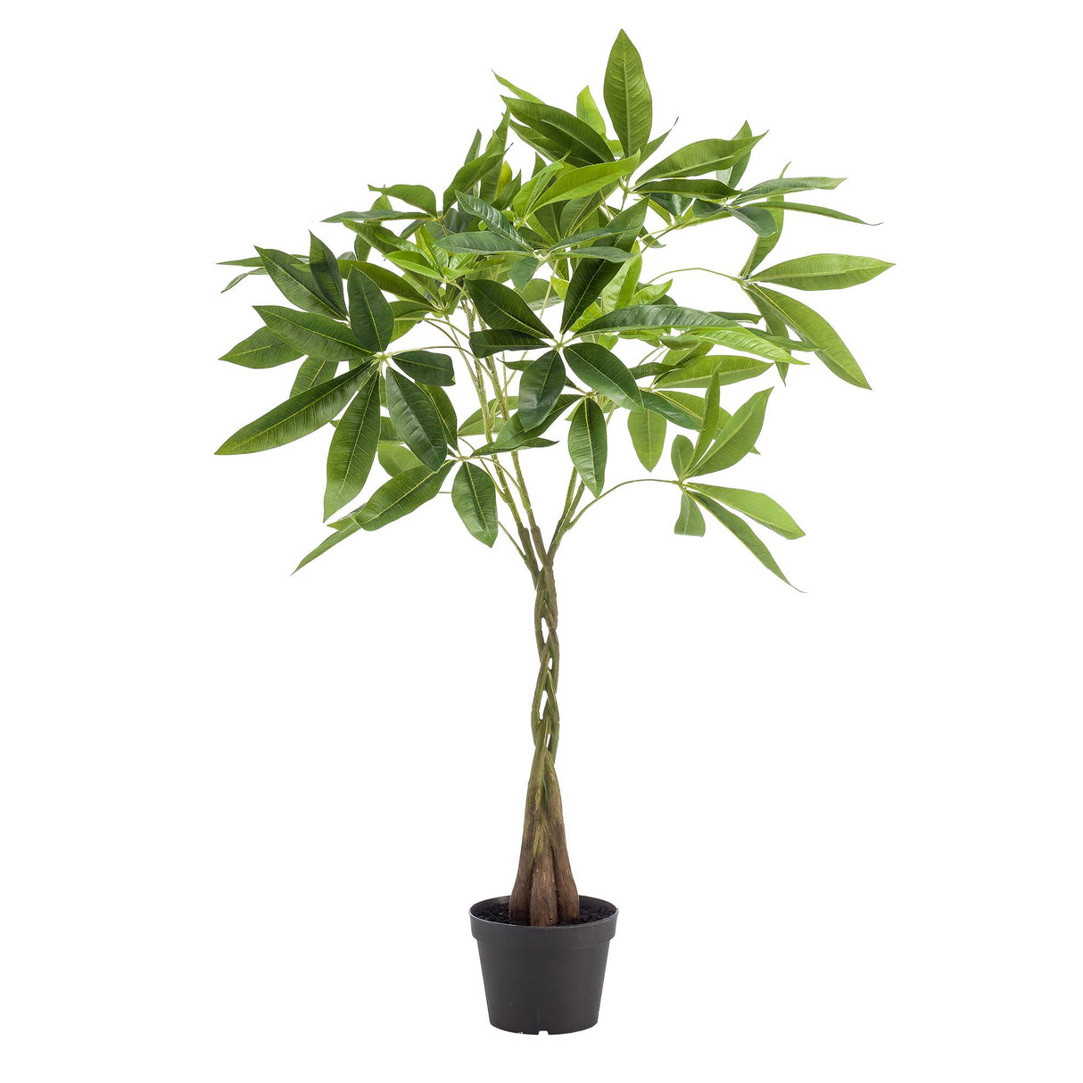Kunstpflanze - Pachira aquatica - Geldbaum - 90cm