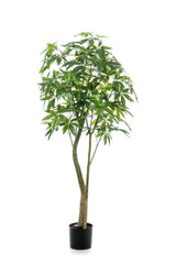 Kunstpflanze - Pachira Aquatica - Geldbaum - 180 cm