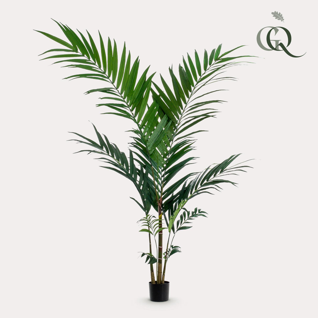 Kunstpflanze - Kentia - Kentiapalme - 150cm