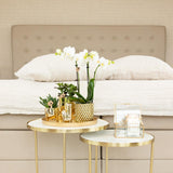 Kolibri Orchids | witte Phalaenopsis orchidee – Amabilis + Diamond sierpot goud – potmaat Ø9cm | bloeiende kamerplant in bloempot - vers van de kweker
