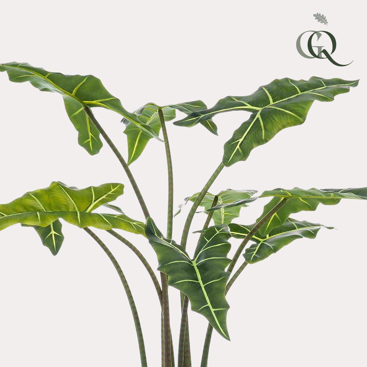 Kunstplant - Alocasia Frydek - Oreille d'éléphant - 120 cm