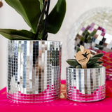 Plantenset Disco | Paarse Vienna orchidee Ø9cm + Succulent incl. keramieken sierpotten