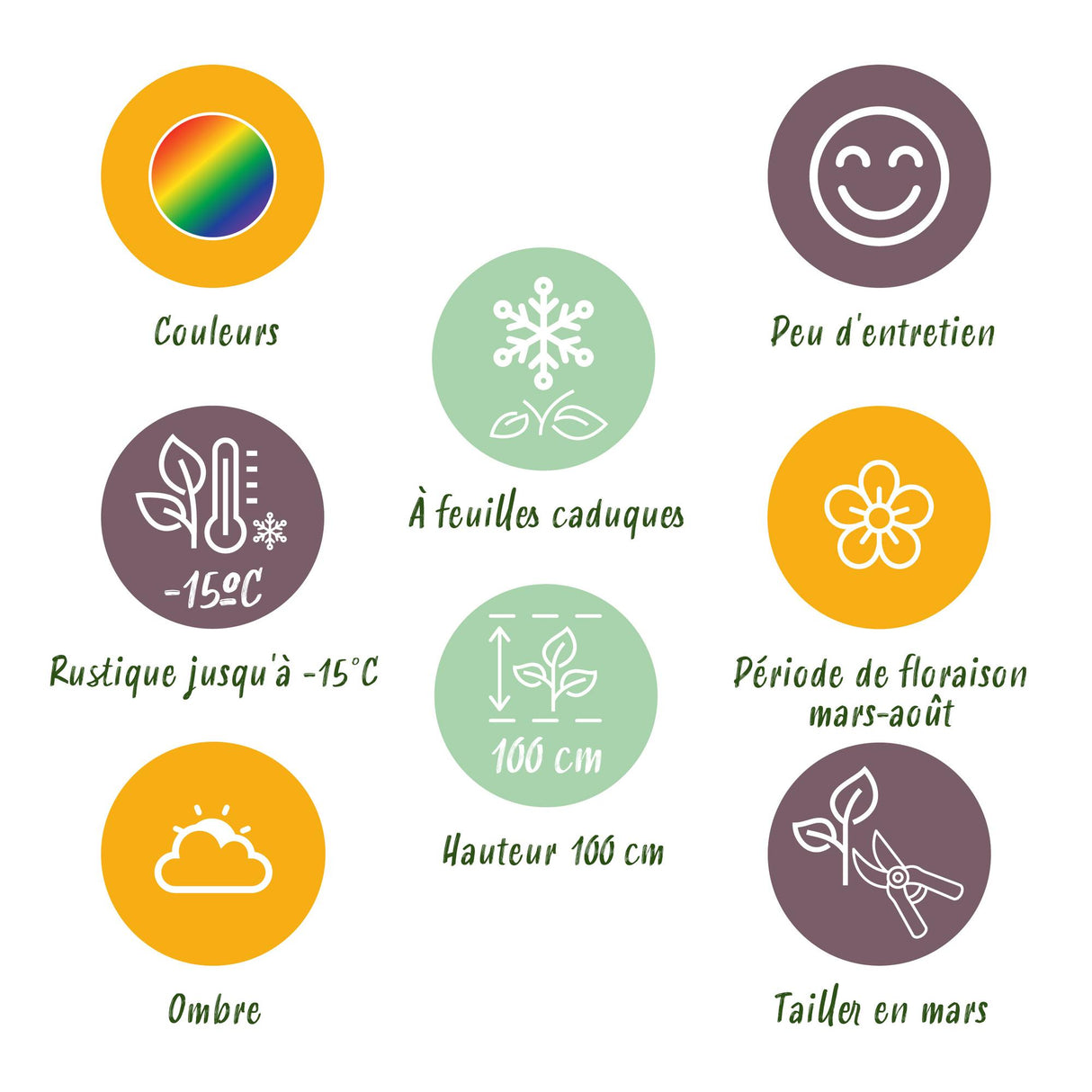 Borderpakket - Schaduw - 24 Vaste planten - 3 m2 - Diversen kleuren - Weinig Onderhoud - Pot 11cm