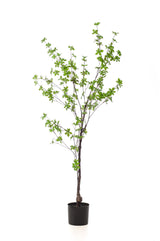 Kunstpflanze - Tropaeolum Speciosum - Kapuzinerkresse - 150 cm