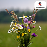 Wildblumensamen-Mischung – 100 Gramm | Gut für Bienen, Schmetterlinge & Biodiversität | ± 30–50 m²