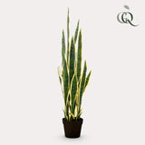 Plante artificielle - Sanseveria Trifasciata - Langue de belle-mère - 97 cm