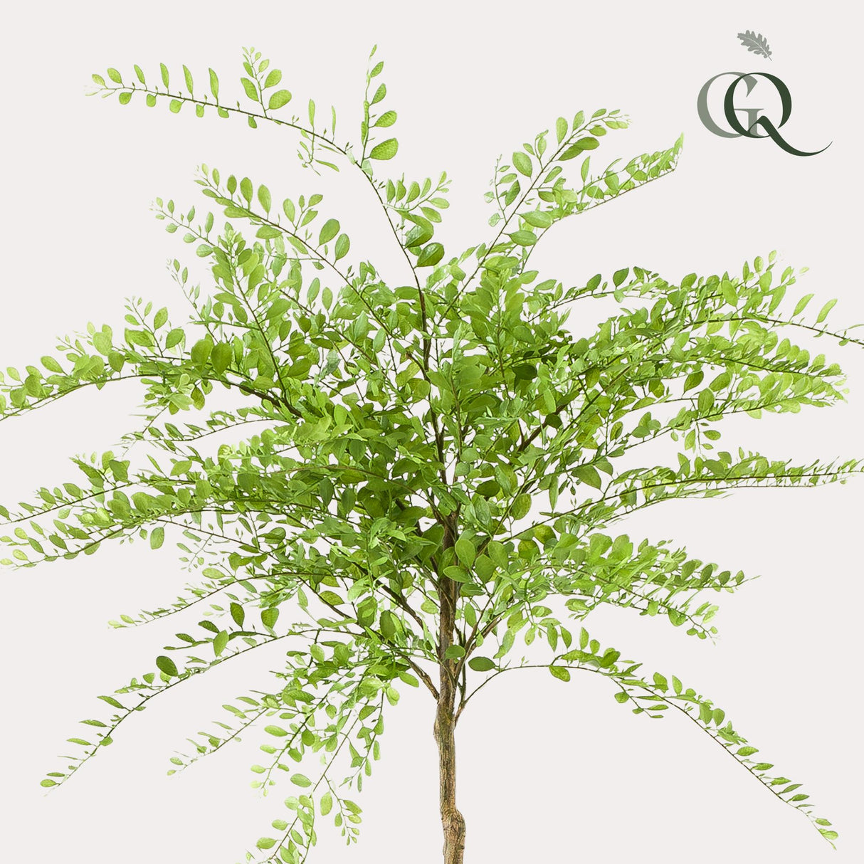 Kunstpflanze - Sophora-Baum - Honigbaum - 190cm