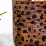 Giftset Leopard | Bolzano orchidee oranje Ø9cm + groene plant Ø6cm – incl. leopard sierpotten & zwart dienblad – vers van de kweker