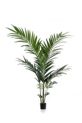 Kunstpflanze - Kentia - Kentiapalme - 150cm