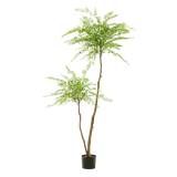 Kunstpflanze - Sophora-Baum - Honigbaum - 190cm