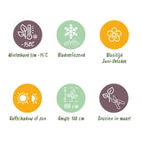 Green boutiQ - Tuinplant - Hydrangea Endles Summer Summer Love Purple - Hortensia - Winterhard - Paars - 8 Planten - Pot 14cm - Hoogte 20-25cm