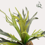 Kunstpflanze - Hirschzungenfarn - 50 cm