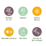 Green boutiQ - Haagplanten - Photnia fraseri Carre Rouge - blad rood groen - 8 planten - 1 strekkende meter - groenblijvend - pot 9cm hoogte 30-35cm