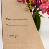 Kolibri Orchids | Paarse Phalaenopsis Orchidee - Mineral Morelia in Retro Sierpot Paars met Giftbox - Ø9 cm