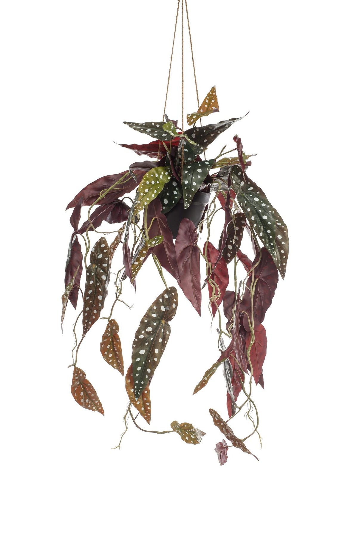 Kunstpflanze - Begonia Maculata - Gepunktete Begonie - 80 cm