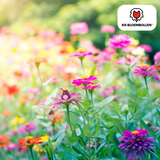 Wildblumensamen-Mischung – 100 Gramm | Gut für Bienen, Schmetterlinge & Biodiversität | ± 30–50 m²