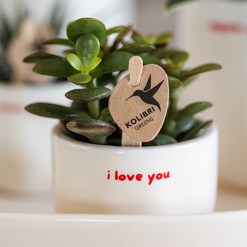 Kolibri Home | I love you sierpot - Ø6cm