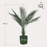Kunstpflanze - Chamaedorea - Bergpalme - 50 cm