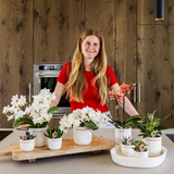 Gift set 'love you' | Rode Phalaenopsis orchidee Congo met groene plant in Love sierpotten op Cloud plate
