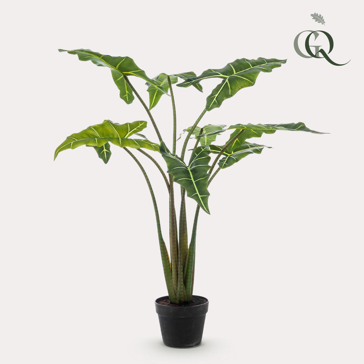 Kunstplant - Alocasia Frydek - Oreille d'éléphant - 120 cm