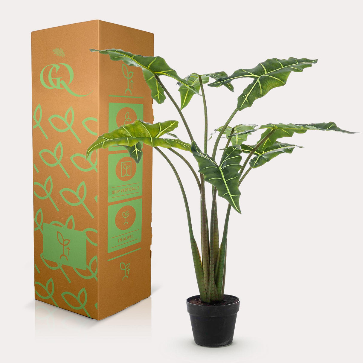 Kunstplant - Alocasia Frydek - Oreille d'éléphant - 120 cm