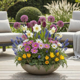 Green boutiQ - Bulbes de fleurs - Mélange Bulb Garden - Différentes variétés et couleurs - 125 pièces - Emballage cadeau