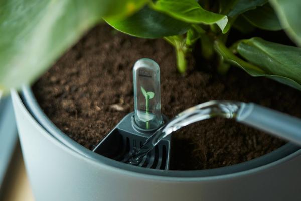 Self Watering Insert - Ø17cm