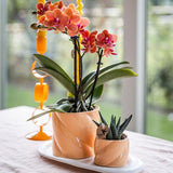 Kolibri Home | Candy Zierpot - Pfirsich - Ø6cm