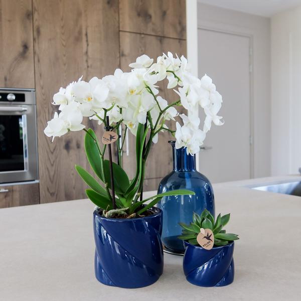 Kolibri Home | Pot décoratif Candy - Bleu - Ø6cm