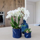 Kolibri Home | Pot décoratif Candy - Bleu - Ø6cm