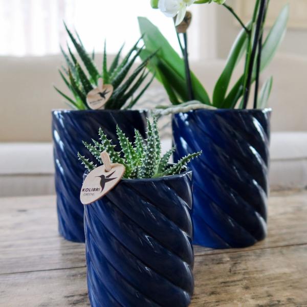 Kolibri Home | Candy Übertopf | Hoch - Blau - Ø6cm