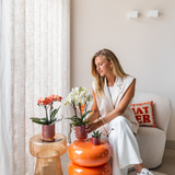 Diamond pearl sierpot - Rood - Ø6cm